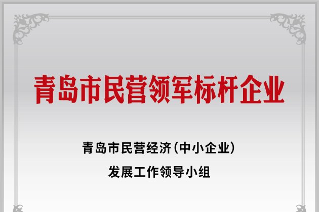 青島市民營領(lǐng)軍標(biāo)桿企業(yè)